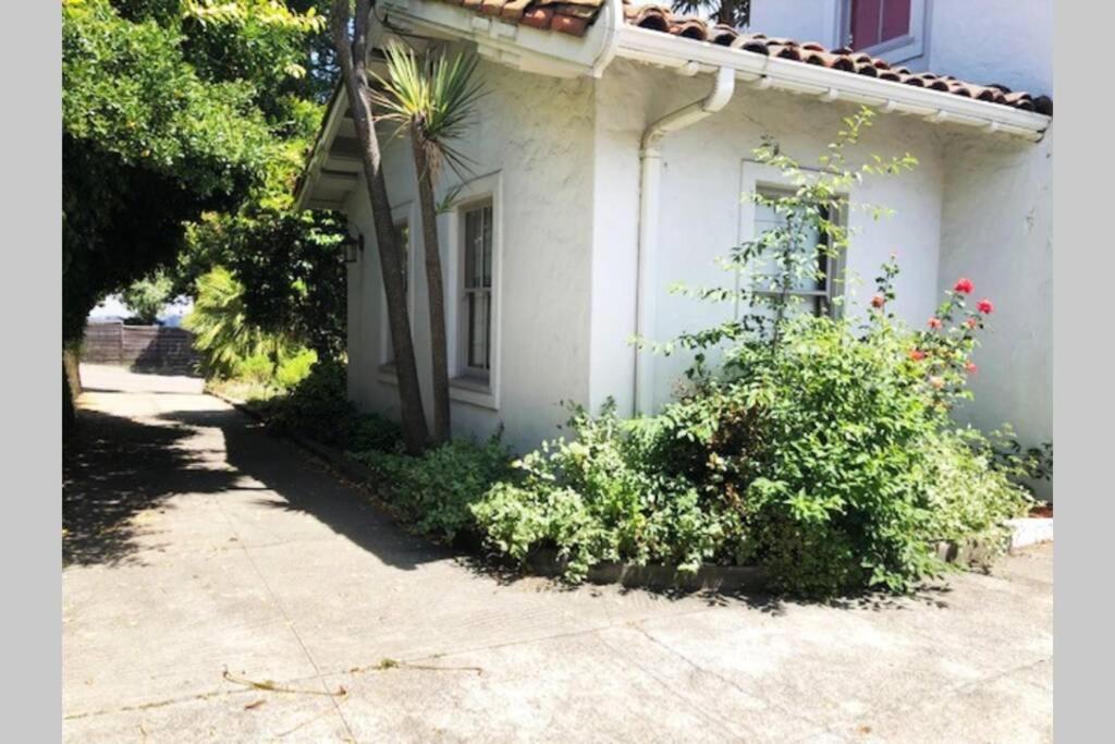 Elegant Spacious Private Studio ~ Upscale Berkeley Exteriér fotografie